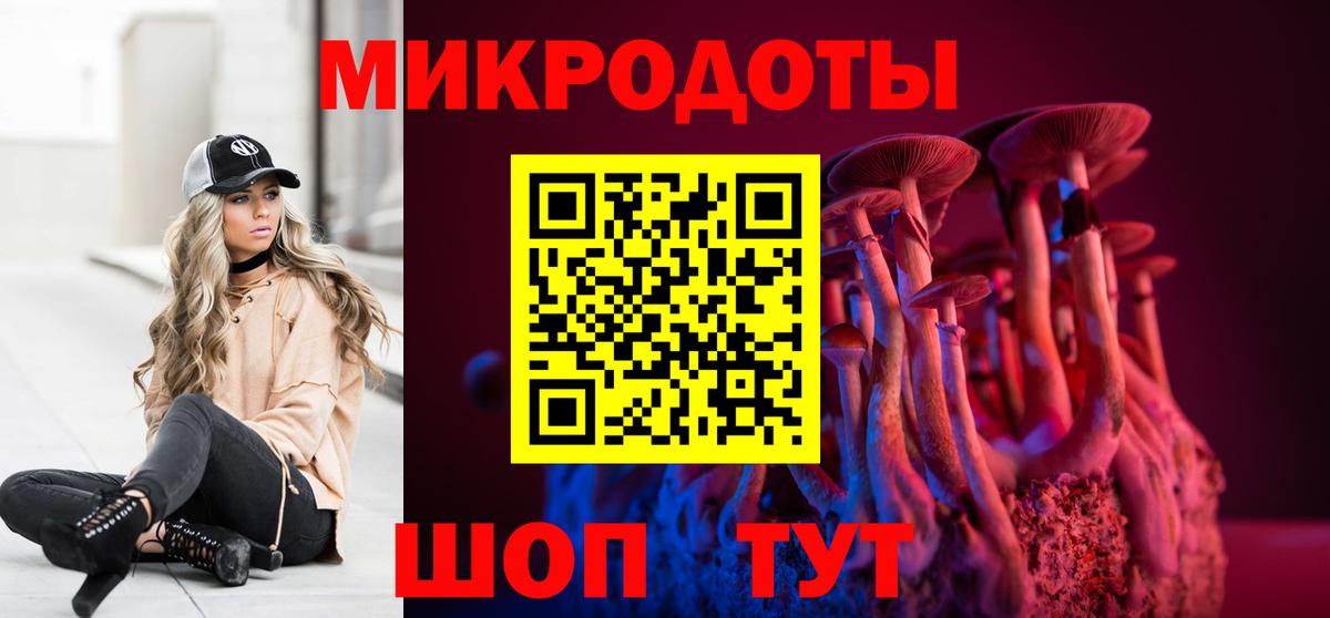 Моздок  Псилоцибиновые грибы MAGIC MUSHROOMS  Псилоцибиновые грибы Psilocybe  Вход с VPN 