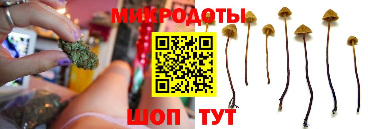 Галлюциногенные грибы ЛСД Моздок